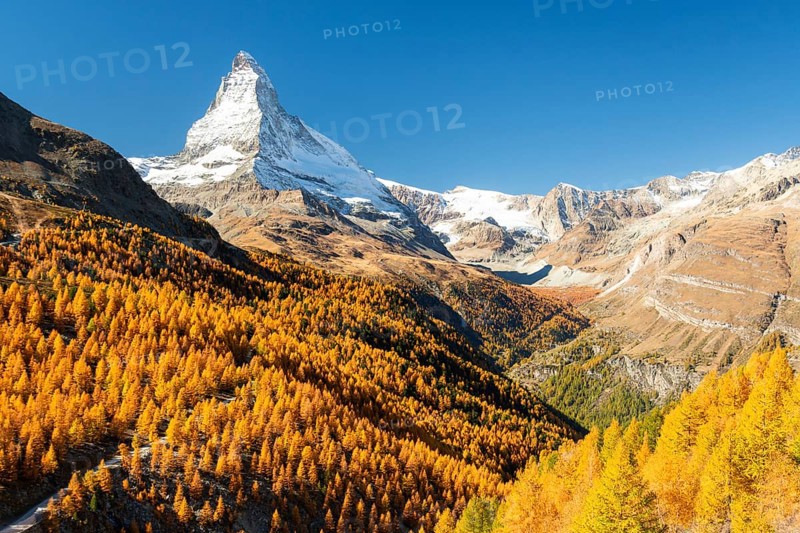 Matterhorn Mountain and Yellow Golden Larches in Autumn on Sunny Day. Fall Colors. Swiss Alps. Valais, Switzerland