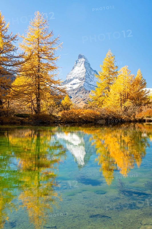 Matterhorn Mountain and Yellow Larches in Autumn on Sunny Day. Reflection in Lake Grindjisee. Swiss Alps. Valais, Switzerland