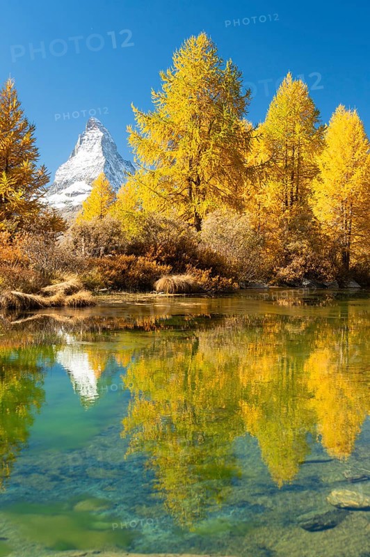 Matterhorn Mountain and Yellow Larches in Autumn on Sunny Day. Reflection in Green Lake Grindjisee. Swiss Alps. Fall Colors. Valais, Switzerland