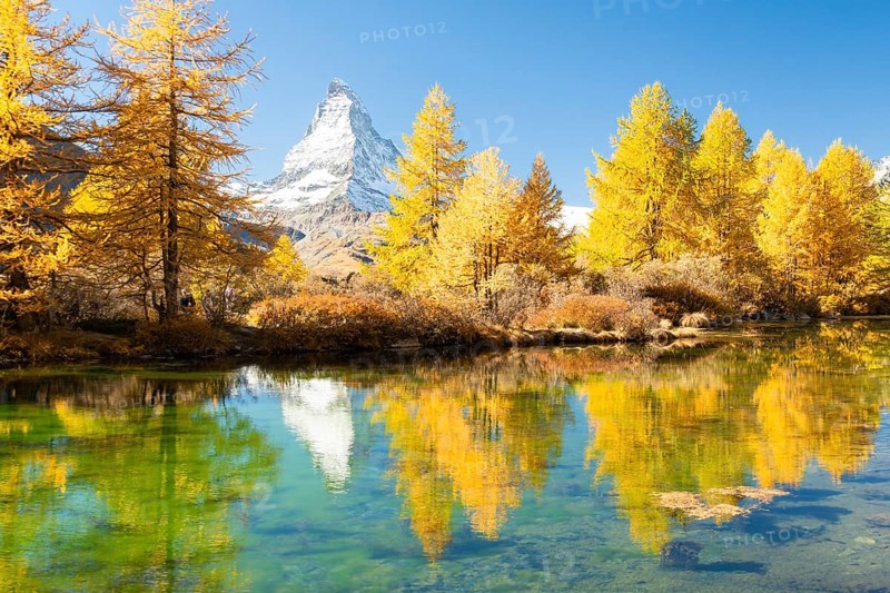 Matterhorn Mountain and Yellow Larches in Autumn on Sunny Day. Reflection in Lake Grindjisee. Fall Colors. Swiss Alps. Valais, Switzerland