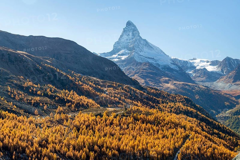 Matterhorn Mountain and Yellow Larches in Autumn on Sunny Day. Swiss Alps. Valais, Switzerland