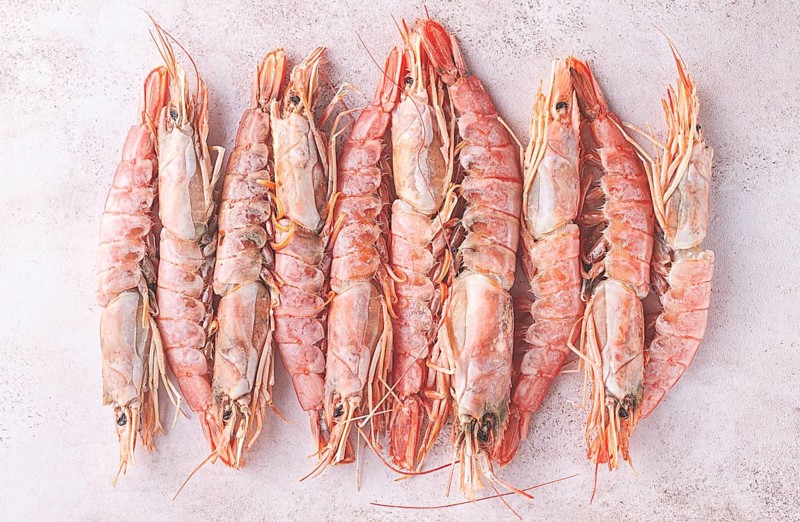 Freshly frozen shrimps, Argentine shrimps, langoustines, neatly laid out on the surface, top view