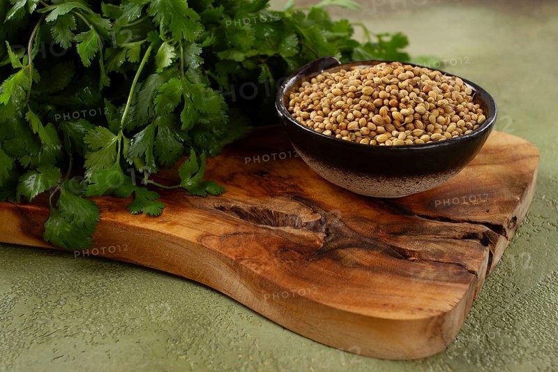 A bunch of fresh cilantro, coriander seeds and bowls, close-up, top view, no people, food and drinks