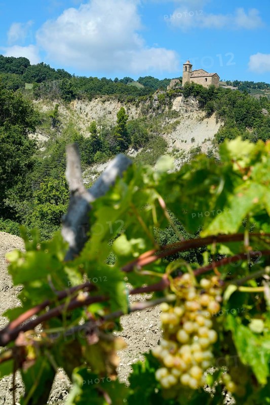 Sant'Arduino hermitage, Pietrarubbia, Pesaro and Urbino, Marche, Italy