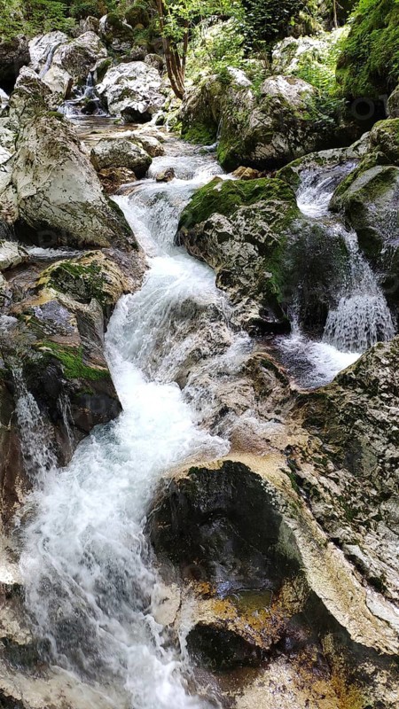 Sunic Water Grove, Lepena Valley, Slovenia