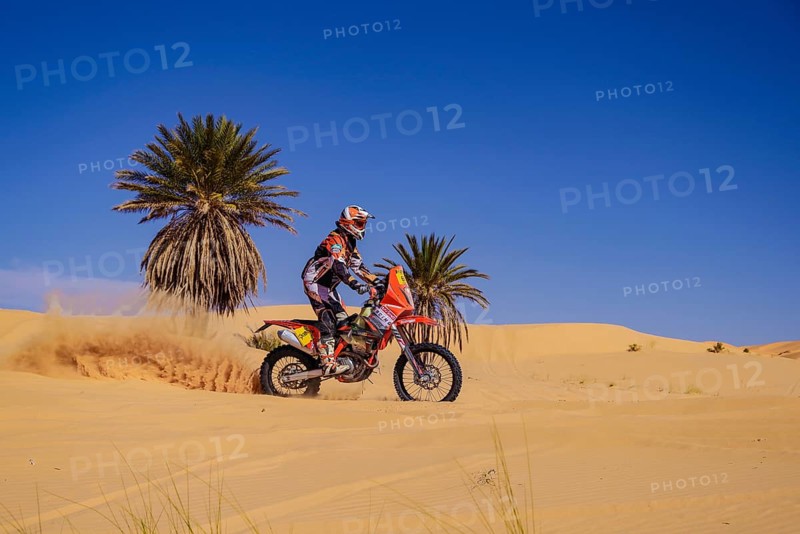 Sahara, desert, Algeria, dune, sand, expanse, landscape, panorama, endless, danger, heat, adventure, tag hit, away from civilization, rally, rally, bike, motorcycle, extreme sports, action