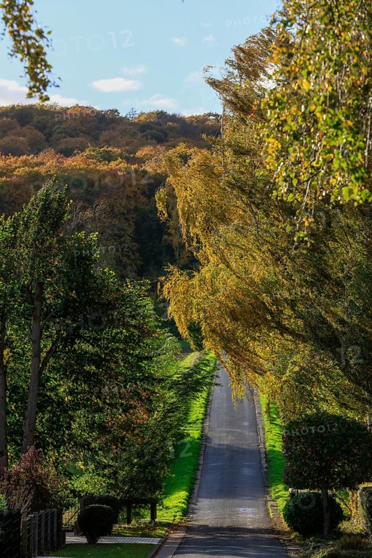 Holzweg zum Süllberg, mountain village Lüdersen, City of Springe, Hanover Region, Lower Saxony, Germany