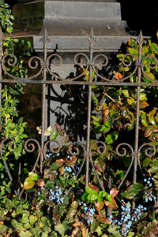 A heritage-protected cemetery near St. Marien Church, Lüdersen mountain village, city of Springe, Hanover region, Lower Saxony, Germany