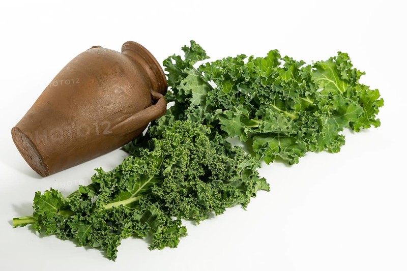 Fresh organic kale on white background with copy-space