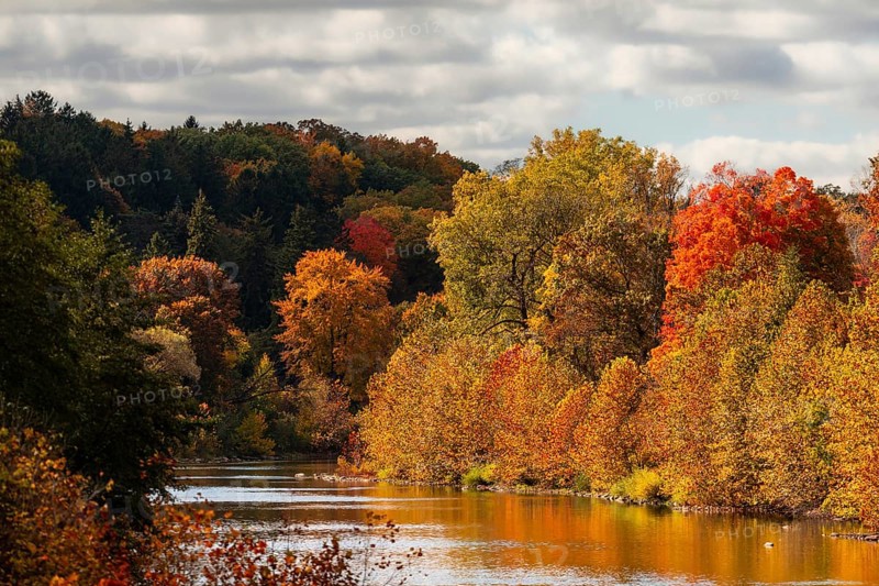 Scenic river surrounded by vibrant autumn foliage under a cloudy sky along the Thames River Valley in London, Ontario, Canada