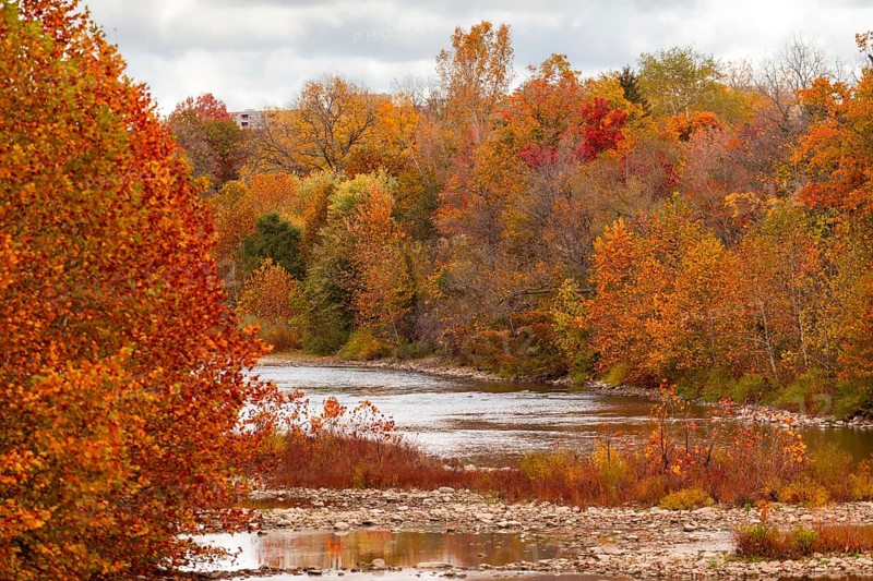 A scenic riverbank view with a tapestry of vivid autumn foliage in the Thames River Valley in London, Ontario, Canada
