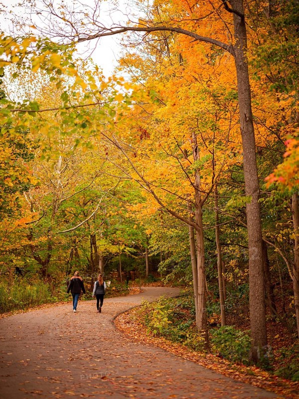 Couple walking on a winding path through a serene forest with autumn colors along the Thames Valley Parkway in London, Ontario, Canada