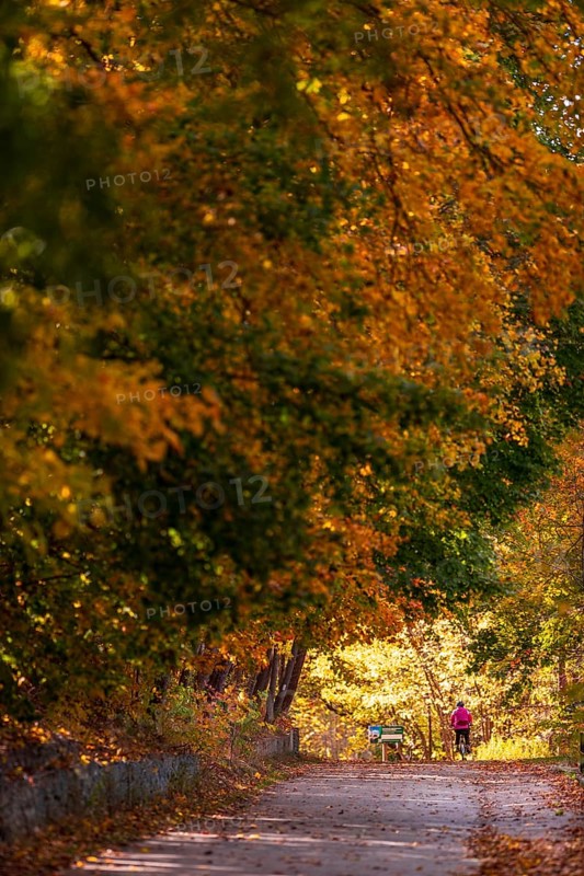 A solitary figure walks along a sun-dappled path under autumn leaves along the Terry Fox Parkway in Greenway Park, London, Ontario, Canada