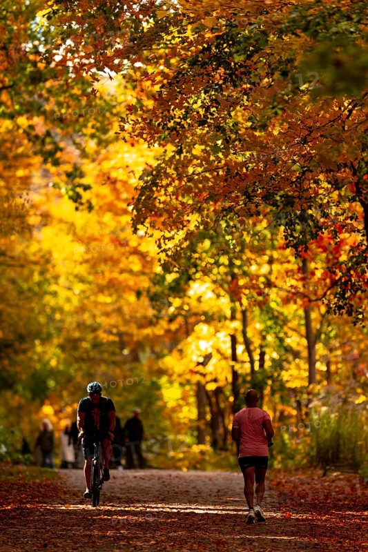 A person cycling and another walking on a trail with vivid autumn colors on the Thames Valley Parkway in Springbank Park, London, Ontario, Canada