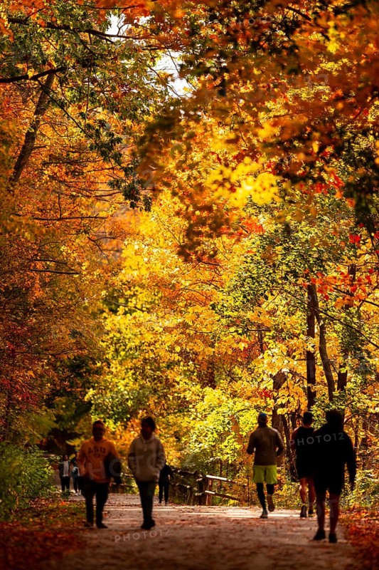 People jogging on a sunlit path lined with autumn foliage on the Thames Valley Parkway in Springbank Park, London, Ontario, Canada
