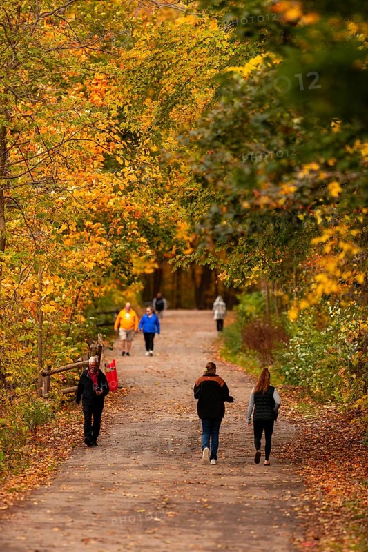 People walking on a path surrounded by vibrant autumn foliage on the Thames Valley Parkway in Springbank Park, London, Ontario, Canada