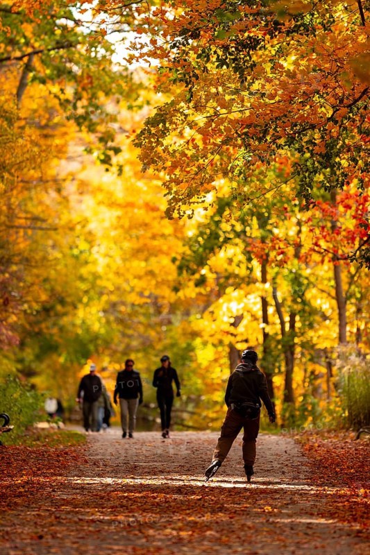 People walking on a forest path surrounded by vibrant autumn foliage on the Thames Valley Parkway in Springbank Park, London, Ontario, Canada
