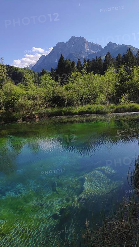 Zelenci Nature Reserve with a view of Triglav National Park, Slovenia