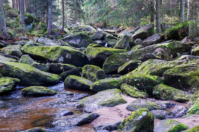 A winding river flows through large, mossy stones in a dense forest, Höllfall Arbesbach Waldviertel Lower Austria Austria