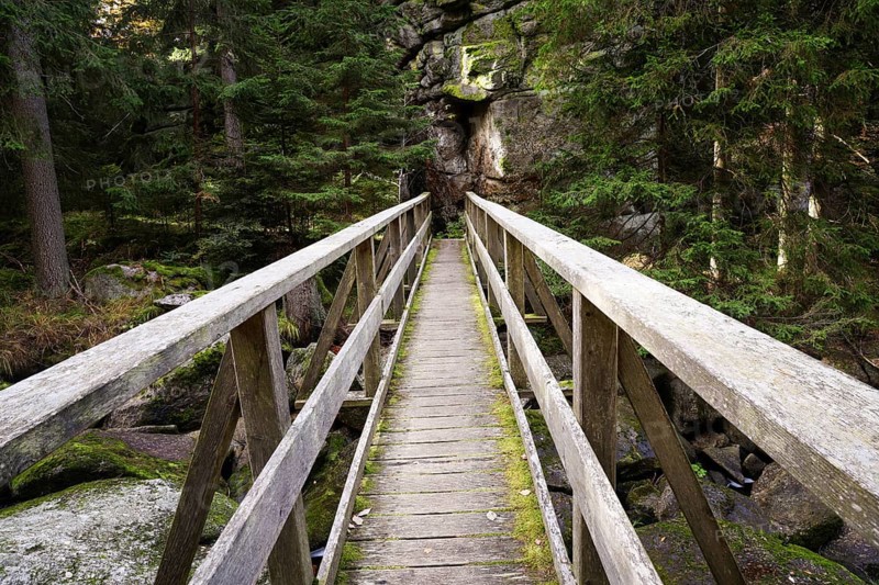A small wooden bridge leads through a forest, surrounded by rocks and tall trees, Höllfall Arbesbach Waldviertel Lower Austria Austria