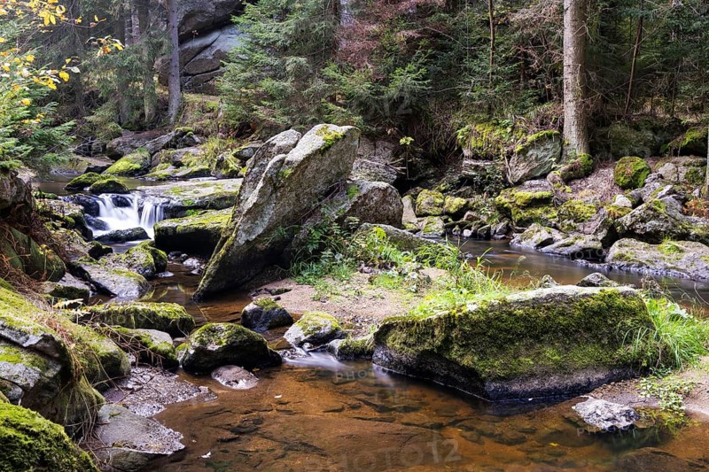 A shallow stream crosses the mossy rocky landscape in a quiet forest, Höllfall Arbesbach Waldviertel Lower Austria Austria