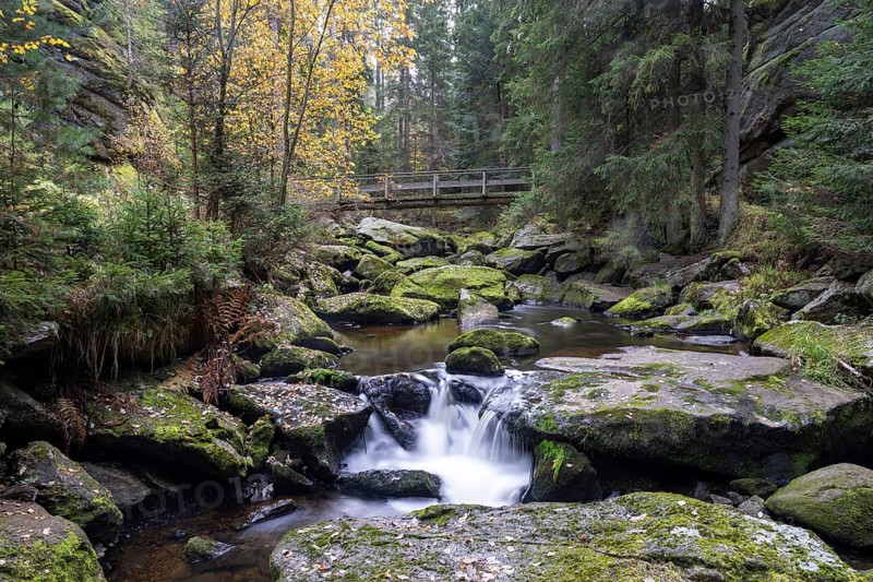 A small waterfall flows over mossy rocks in autumn forest, Höllfall Arbesbach Waldviertel Lower Austria Austria
