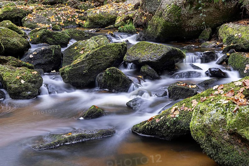 A small stream flows over mossy stones in the autumnal forest, Höllfall Arbesbach Waldviertel Lower Austria Austria