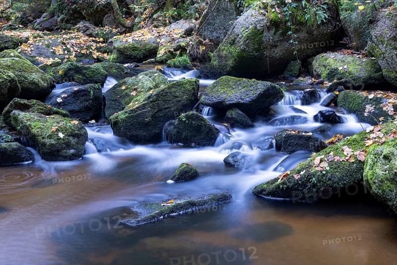 Flowing water over moss-covered stones in a quiet forest, surrounded by autumn tones, Höllfall Arbesbach Waldviertel Lower Austria Austria