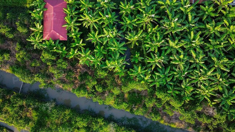 Land used for agriculture in Vietnam, Asia, seen from above