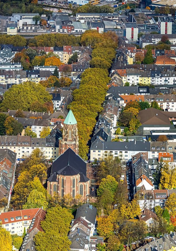 Aerial view, residential area with Catholic Church of St. Mary's Conception, autumn trees and tree avenue, Holsterhausen, Essen, Ruhr region, North Rhine-Westphalia, Germany, place of worship, colorful trees, trees in autumn colors, DE, Europe, religious community, church, land tax, holy place, autumn colors, autumn mood, real estate, church, parish, denomination, aerial photography, aerial photography, religion, religious site, overview, bird's eye view, residential complex, housing and living, residential area, residential quality, residential district, residential district, birds-eyes view, autumnal tree avenue, autumnal trees, overview