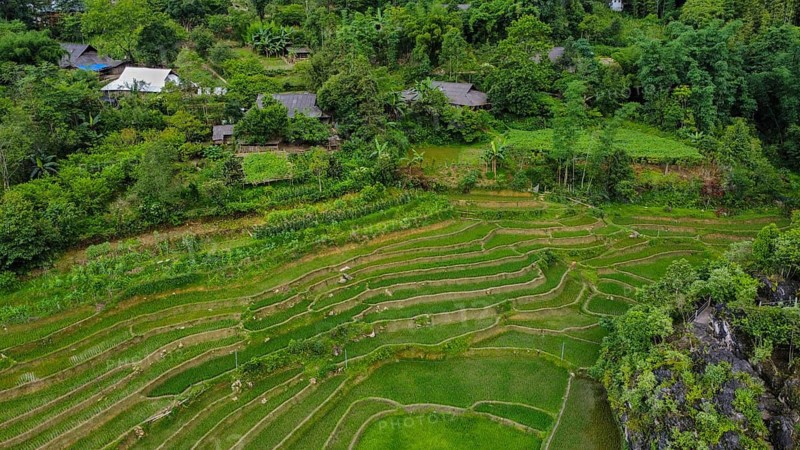 A drone view of rice terraces and a stream in the mountains of Sa Pa, Vietnam, Asia