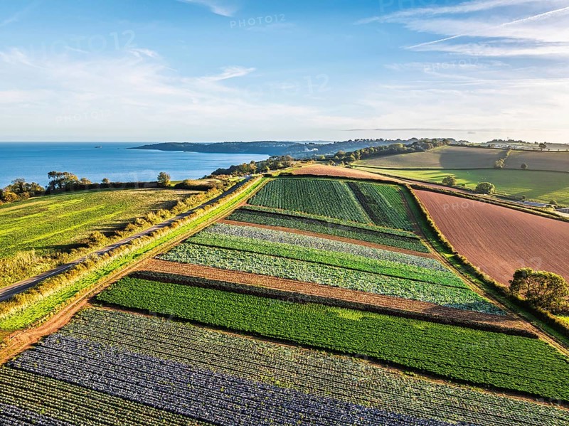Fields and Farms at evening sun from a drone, Shaldon, Torquay, Devon, England, United Kingdom