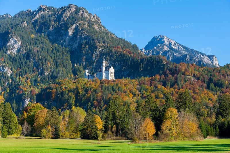 Neuschwanstein Castle in an extensive autumn landscape with mountains and green meadows in the foreground, Schwangau, Königswinkel, Ostallgäu, Allgäu, Swabia, Bavaria, Germany