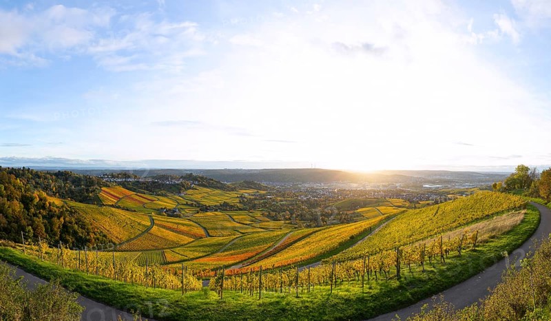 Extensive panorama of the vineyards on Kappelberg near Fellbach in warm evening light with views of Stuttgart and Rotenberg in colorful autumn
