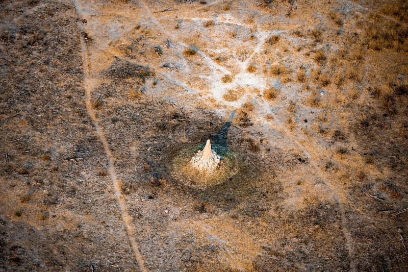 Savanna landscape with yellow grass and termite hills, aerial view, Okavango Delta, Botswana