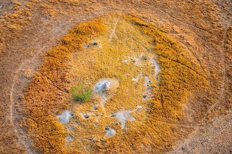 Savanna landscape with yellow grass and termite hills, aerial view, Okavango Delta, Botswana