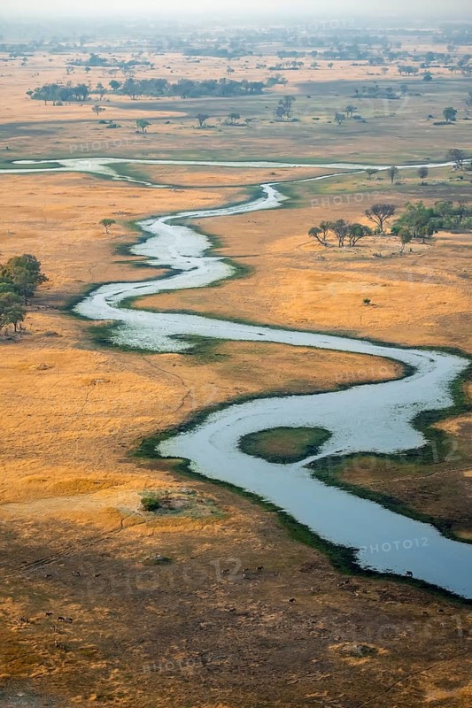 River landscape, idyllic river course with flocks of animals, savanna, aerial view, Okavango Delta, Botswana