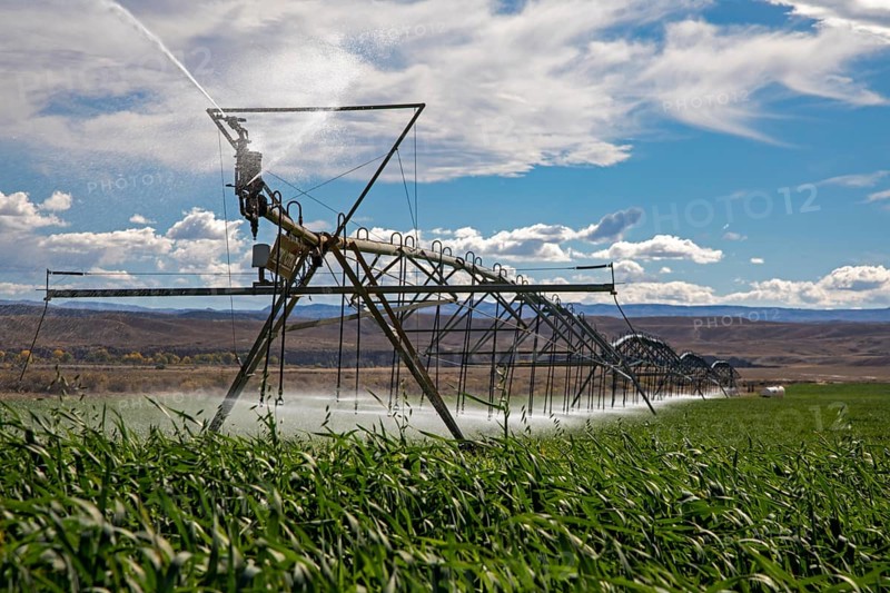 Alcova, Wyoming - Sprinklers water a crop growing in the Wyoming desert. Water in this otherwise dry area comes from the nearby North Platte River