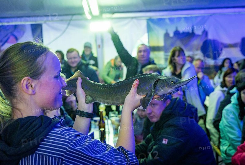 Moritzburg Fish and Forest Festival, fish auction for Albert Schweitzer Children's Village Steinbach, Moritzburg, Saxony, Germany