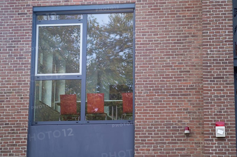 Borken, NRW, Germany, RExterior view of a contemporary office window showing trees reflected on brick wall