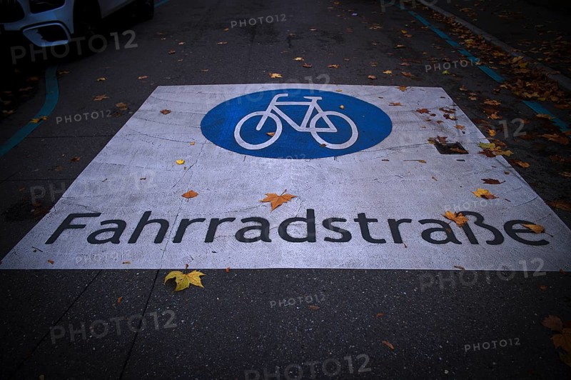 Traffic sign bicycle road, logo, on asphalt of a road, autumn leaves, leaves, autumn, Feuerbach district, Stuttgart, Baden-Württemberg, Germany