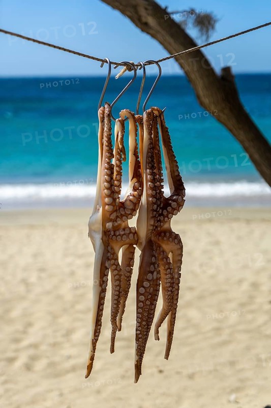 Octopus is dried in the sun, Naxos, Cyclades, Greece