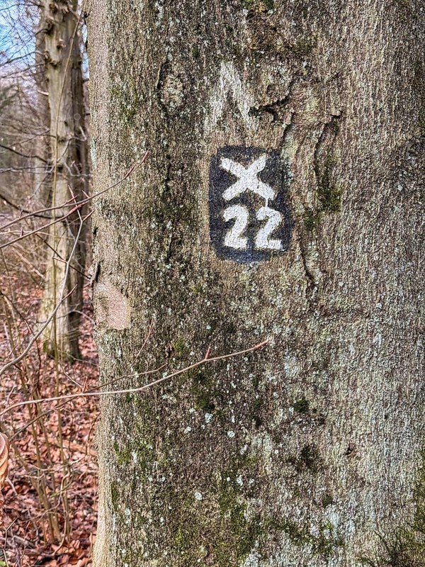 Official marking for hiking trail in Wald an Baumstamm, North Rhine-Westphalia, Germany