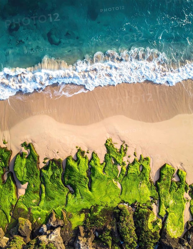 Green algae on the shore of an ocean. Fascinating phenomenon of wilderness nature, green plants, white sands, blue water and rocky cliffs, Aerial view of a beautiful abstract landscape, AI generated