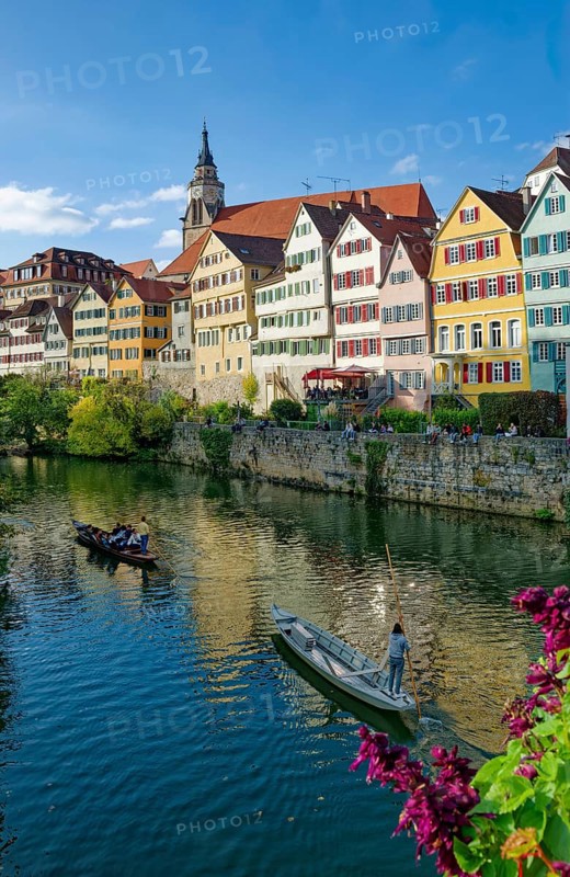 Historic houses on the Neckar front, the Neckar river with poking and water reflection, old town of Tübingen, Baden-Württemberg, Germany