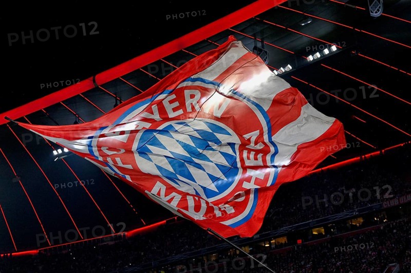 Flag, flying under stadium roof, logo FC Bayern Munich, FCB, Champions League, Allianz Arena, Munich, Bayern, Germany