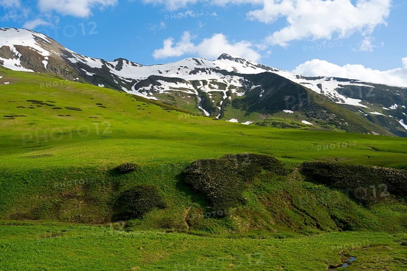 Green meadows in front of snow-covered mountains under a blue sky with clouds, Zagari Pass, Svaneti, Greater Caucasus, High Caucasus, Georgia