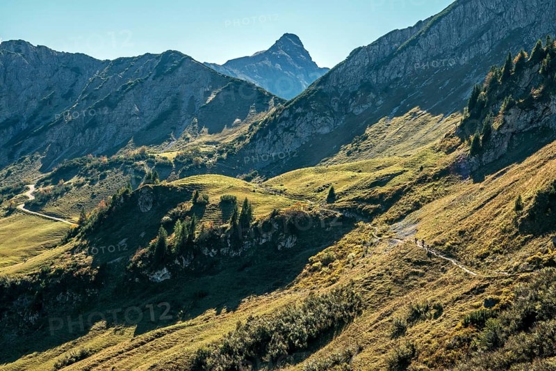 View of hiking trails and the Allgäu mountains from the Saalfelder Höhenweg, Schochenspitze in the back, Tannheimer Valley, Tyrol, Austria