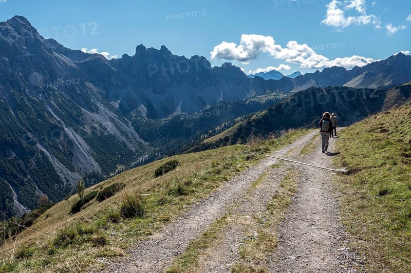 Hiking trail, view from the Saalfelder Höhenweg to the mountains of the Allgäu Alps, Tannheimer Tal, Tyrol, Austria