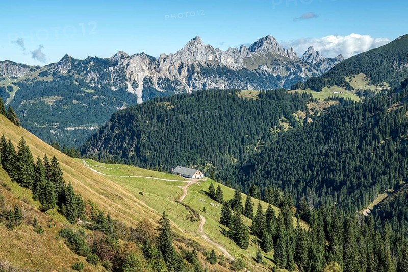 View from the Saalfelder Höhenweg to Schartschrofen and Rote Flüh, center of Usseralpe, Tannheimer Valley, Allgäu Alps, Tyrol, Austria